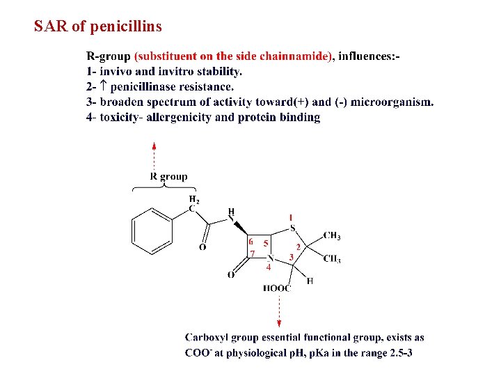 SAR of penicillins 