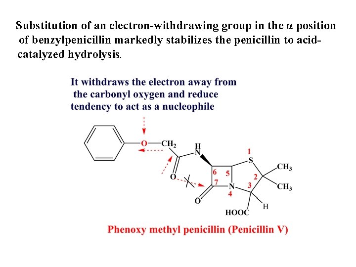 Substitution of an electron-withdrawing group in the α position of benzylpenicillin markedly stabilizes the