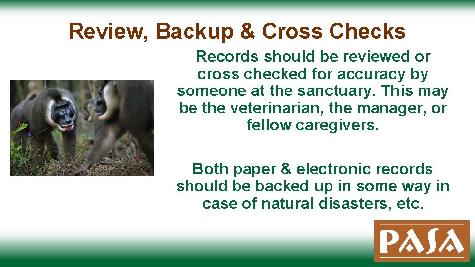 Review, Backup & Cross Checks Records should be reviewed or cross checked for accuracy