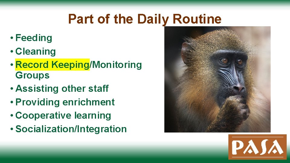 Part of the Daily Routine • Feeding • Cleaning • Record Keeping/Monitoring Groups •