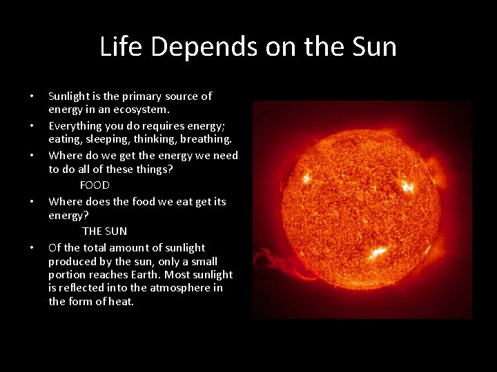 Life Depends on the Sun • • • Sunlight is the primary source of