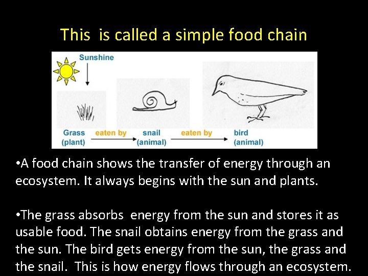 This is called a simple food chain • A food chain shows the transfer