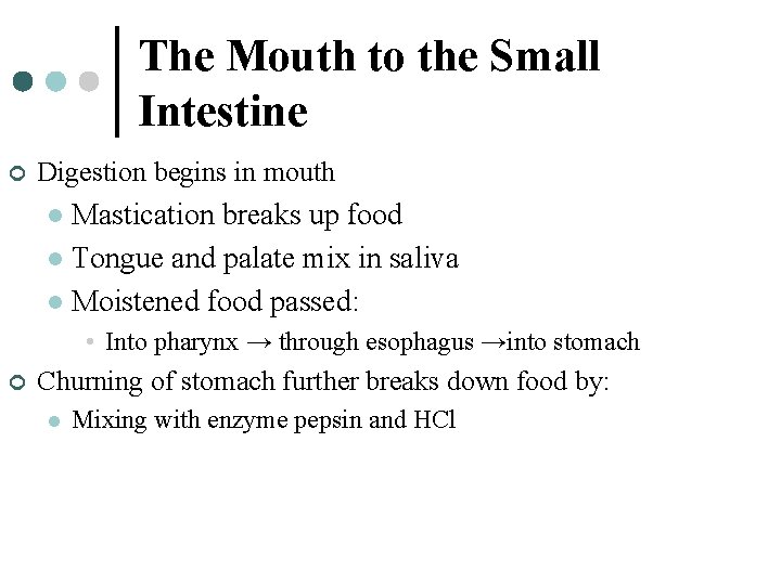 The Mouth to the Small Intestine ¢ Digestion begins in mouth Mastication breaks up