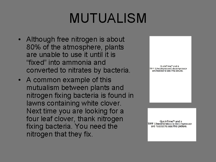 MUTUALISM • Although free nitrogen is about 80% of the atmosphere, plants are unable