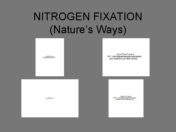 NITROGEN FIXATION (Nature’s Ways) 