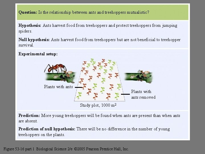 Question: Is the relationship between ants and treehoppers mutualistic? Freeman’s Figure 53 -16 part