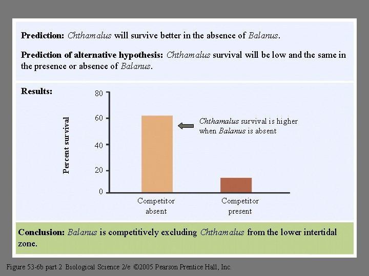 Prediction: Chthamalus will survive better in the absence of Balanus. Freeman Figure 53 -6