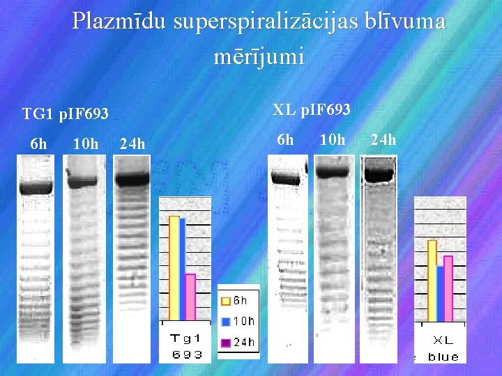 Plazmīdu superspiralizācijas blīvuma mērījumi TG 1 p. IF 693 XL p. IF 693 6