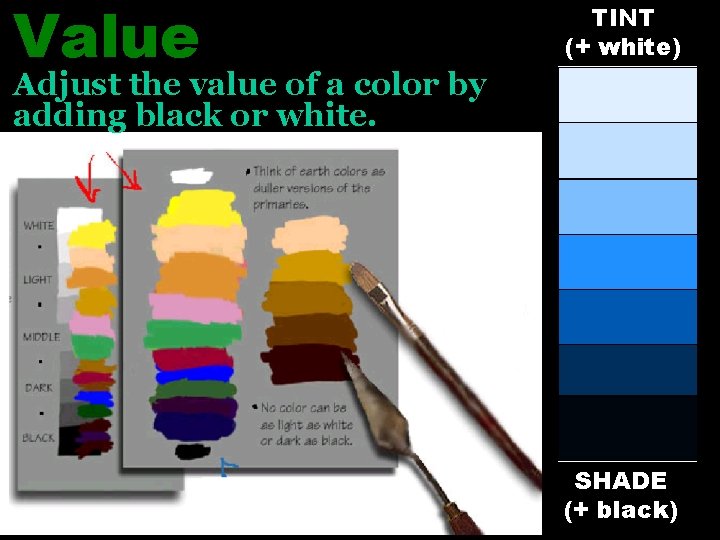 Value TINT (+ white) Adjust the value of a color by adding black or