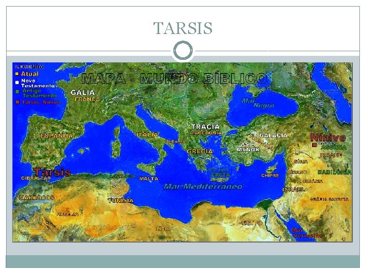 TARSIS 