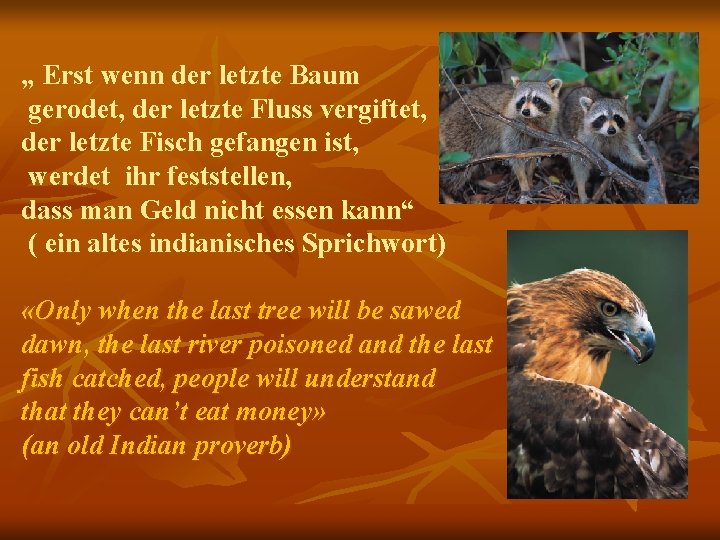 „ Erst wenn der letzte Baum gerodet, der letzte Fluss vergiftet, der letzte Fisch