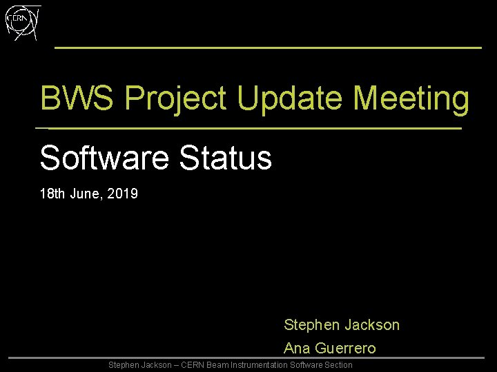 BWS Project Update Meeting Software Status 18 th June, 2019 Stephen Jackson Ana Guerrero