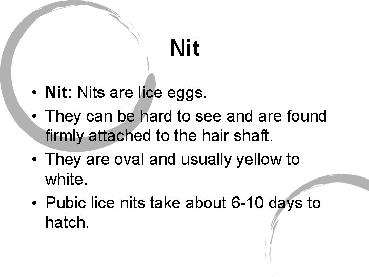Nit • Nit: Nits are lice eggs. • They can be hard to see