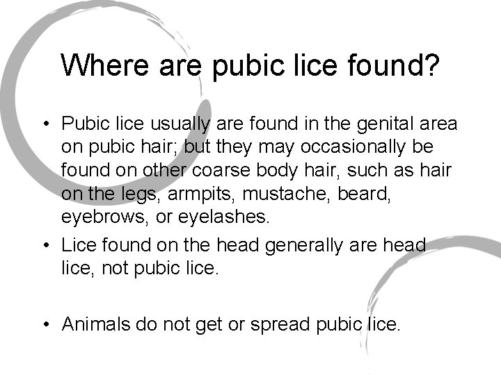 Where are pubic lice found? • Pubic lice usually are found in the genital