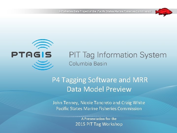 P 4 Tagging Software and MRR Data Model Preview John Tenney, Nicole Tancreto and P 4 Tagging Software and MRR Data Model Preview John Tenney, Nicole Tancreto and