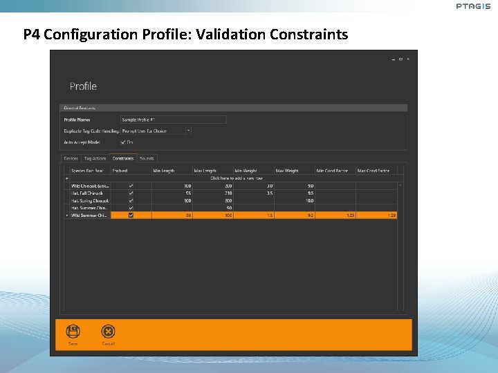 P 4 Configuration Profile: Validation Constraints P 4 Configuration Profile: Validation Constraints