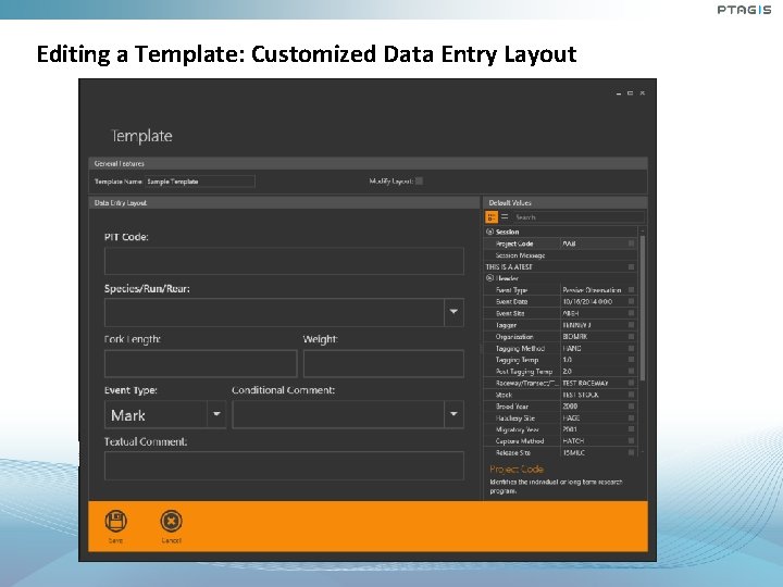 Editing a Template: Customized Data Entry Layout Editing a Template: Customized Data Entry Layout