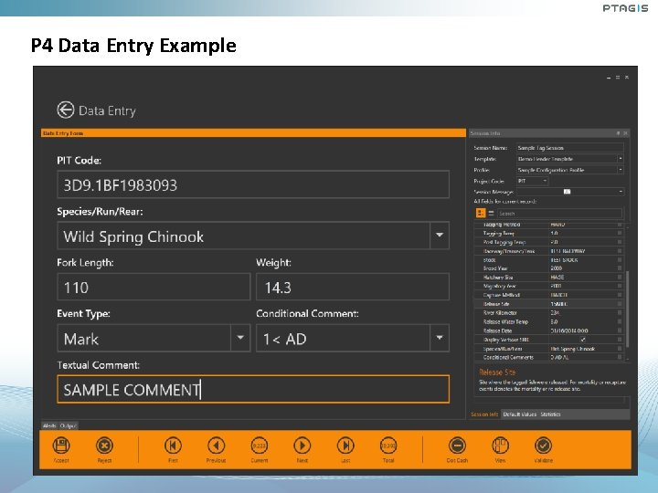 P 4 Data Entry Example P 4 Data Entry Example