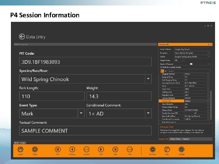 P 4 Session Information P 4 Session Information