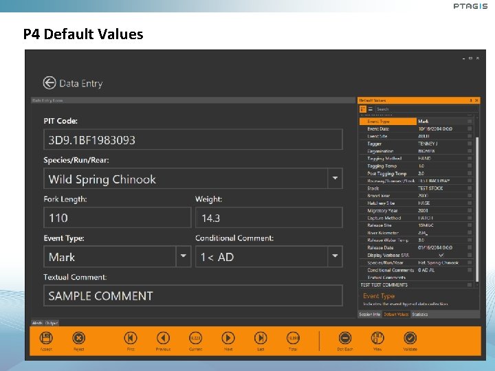 P 4 Default Values P 4 Default Values