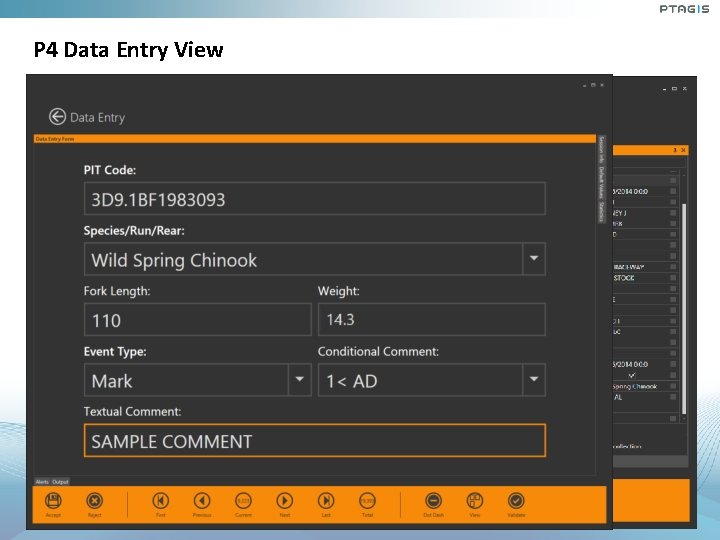 P 4 Data Entry View P 4 Data Entry View