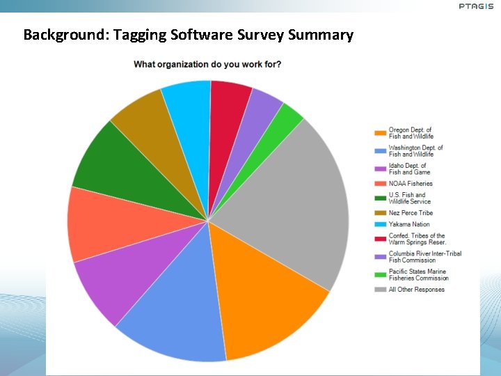 Background: Tagging Software Survey Summary Background: Tagging Software Survey Summary