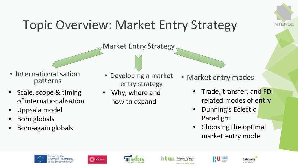Topic Overview: Market Entry Strategy • Internationalisation patterns • Scale, scope & timing of