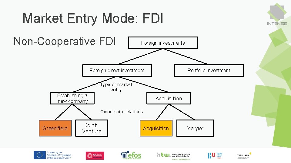 Market Entry Mode: FDI Non-Cooperative FDI Foreign investments Foreign direct investment Portfolio investment Type