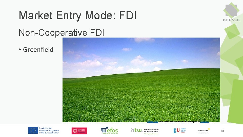 Market Entry Mode: FDI Non-Cooperative FDI • Greenfield "Dieses Foto" von Unbekannter Autor ist