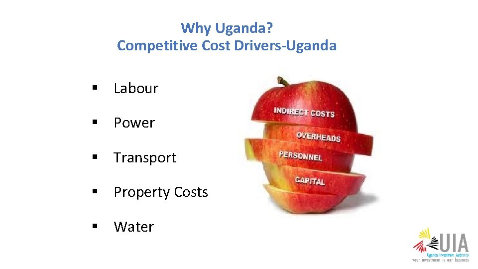 Why Uganda? Competitive Cost Drivers-Uganda § Labour § Power § Transport § Property Costs