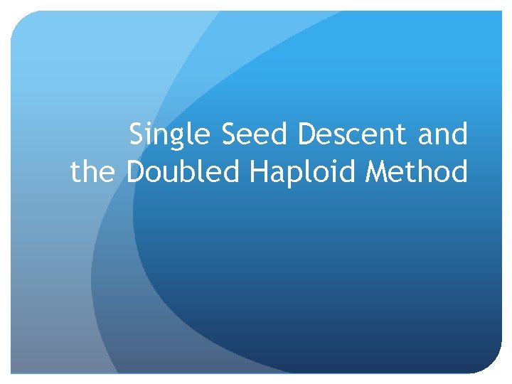 Single Seed Descent and the Doubled Haploid Method 