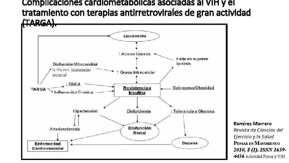 Complicaciones cardiometabólicas asociadas al VIH y el tratamiento con terapias antirretrovirales de gran actividad