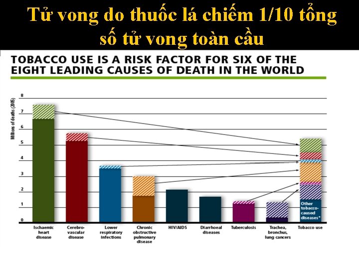 Tử vong do thuốc lá chiếm 1/10 tổng số tử vong toàn cầu 