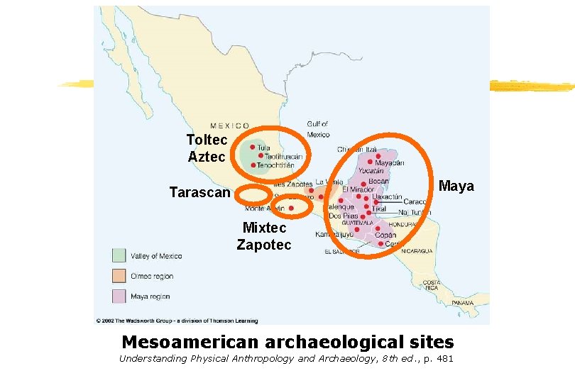 Toltec Aztec Maya Tarascan Mixtec Zapotec Mesoamerican archaeological sites Understanding Physical Anthropology and Archaeology,