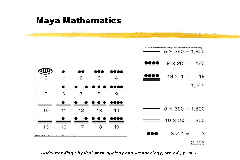 Maya Mathematics Understanding Physical Anthropology and Archaeology, 8 th ed. , p. 487. 