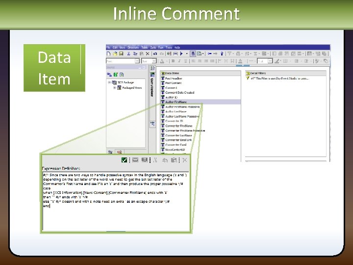 Inline Comment Data Item 