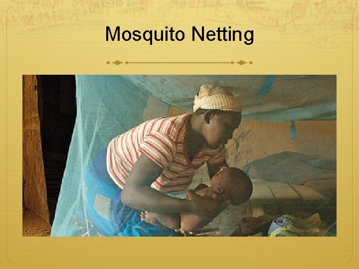 Mosquito Netting 
