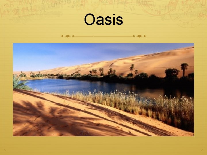 Oasis 