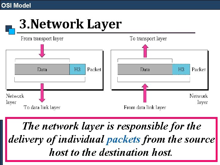 OSI Model 3. Network Layer The network layer is responsible for the delivery of