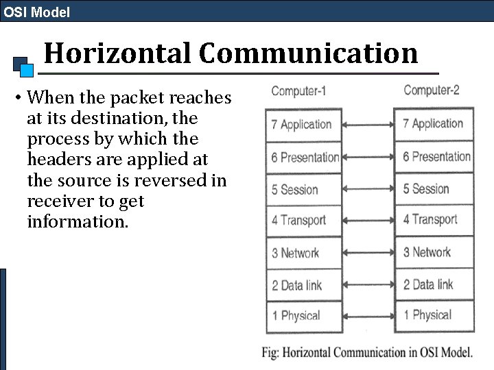 OSI Model Horizontal Communication • When the packet reaches at its destination, the process