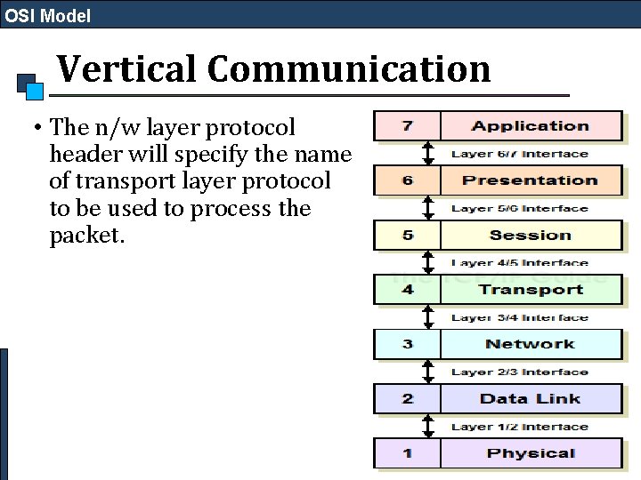 OSI Model Vertical Communication • The n/w layer protocol header will specify the name