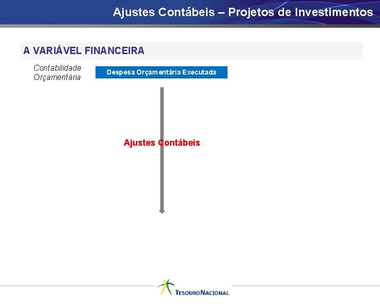 Ajustes Contábeis – Projetos de Investimentos A VARIÁVEL FINANCEIRA Contabilidade Orçamentária Despesa Orçamentária Executada