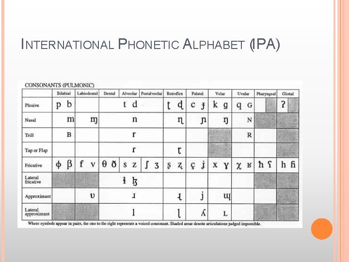 INTERNATIONAL PHONETIC ALPHABET (IPA) 