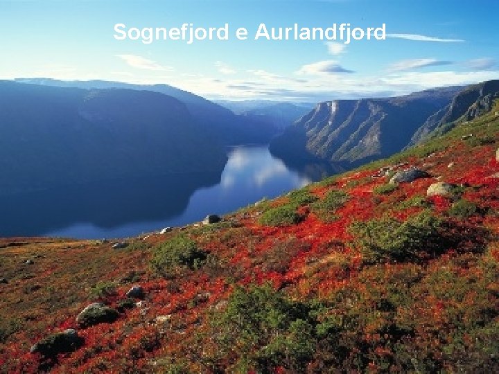 Sognefjord e Aurlandfjord 