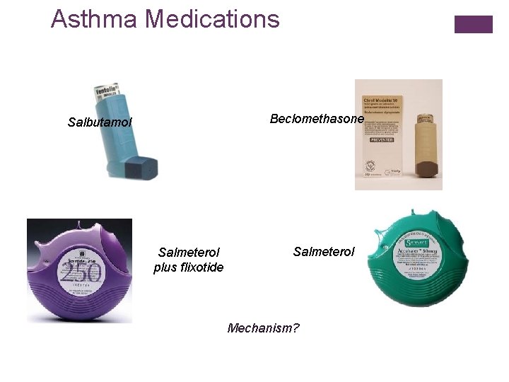 Asthma Medications Beclomethasone Salbutamol Salmeterol plus flixotide Salmeterol Mechanism? 