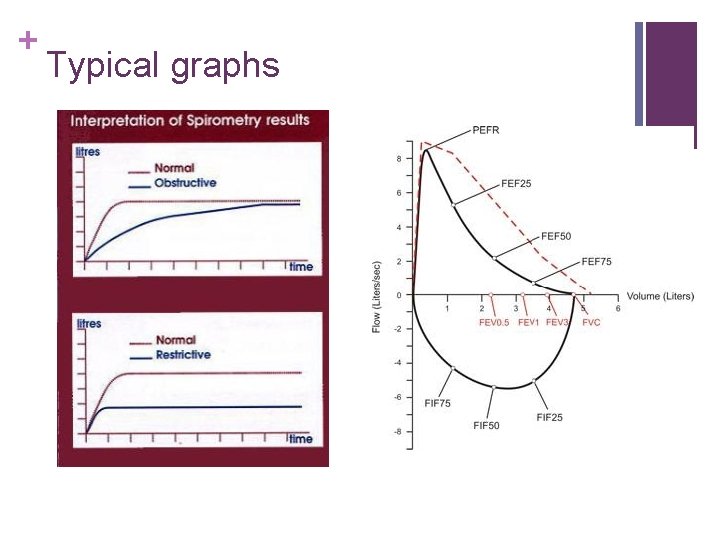 + Typical graphs 