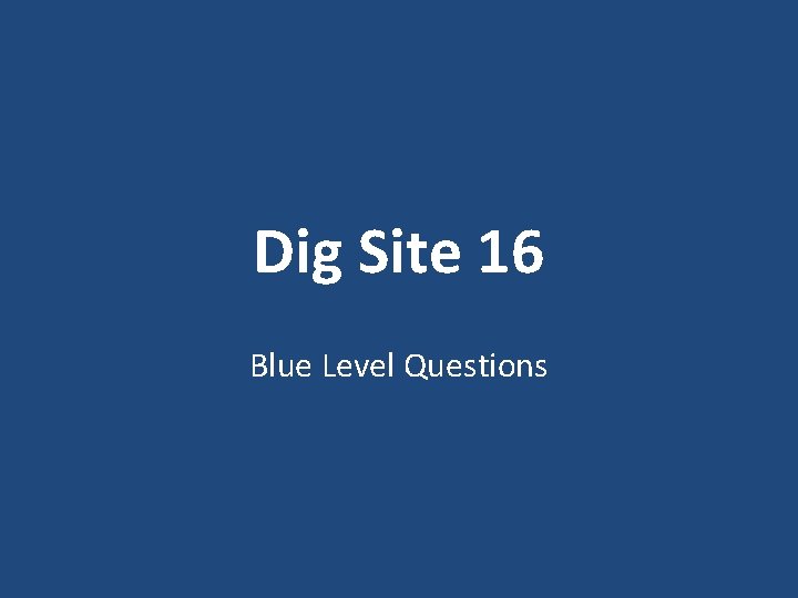 Dig Site 16 Blue Level Questions 
