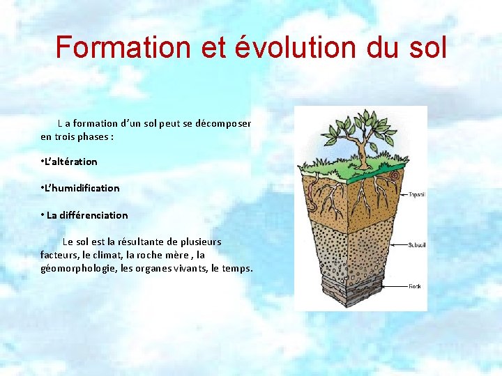 Formation et évolution du sol L a formation d’un sol peut se décomposer en