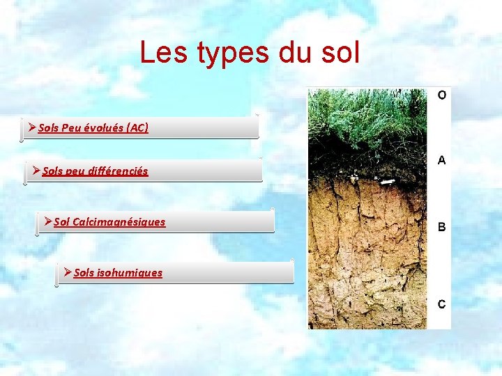 Les types du sol ØSols Peu évolués (AC) ØSols peu différenciés ØSol Calcimagnésiques ØSols