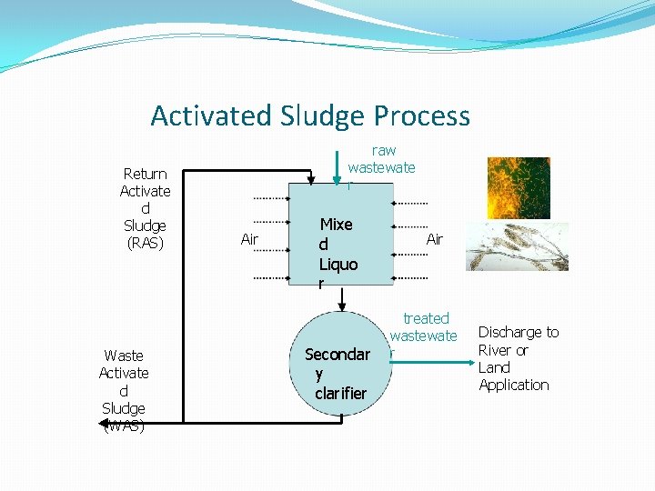 Activated Sludge Process Return Activate d Sludge (RAS) Waste Activate d Sludge (WAS) raw Activated Sludge Process Return Activate d Sludge (RAS) Waste Activate d Sludge (WAS) raw